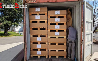 Container loaded and shipped to the US – Watch video